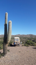 Bivouac Cactus